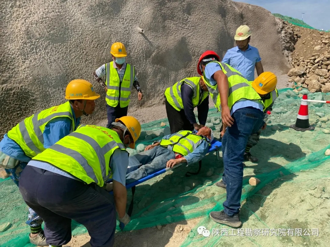 619da4236660a.jpg 640.webp (1).jpg